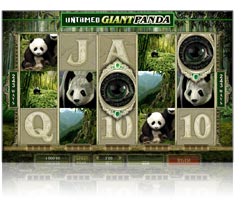 New game : untamed-giant panda